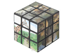Magic Cube Wilde Tiere 